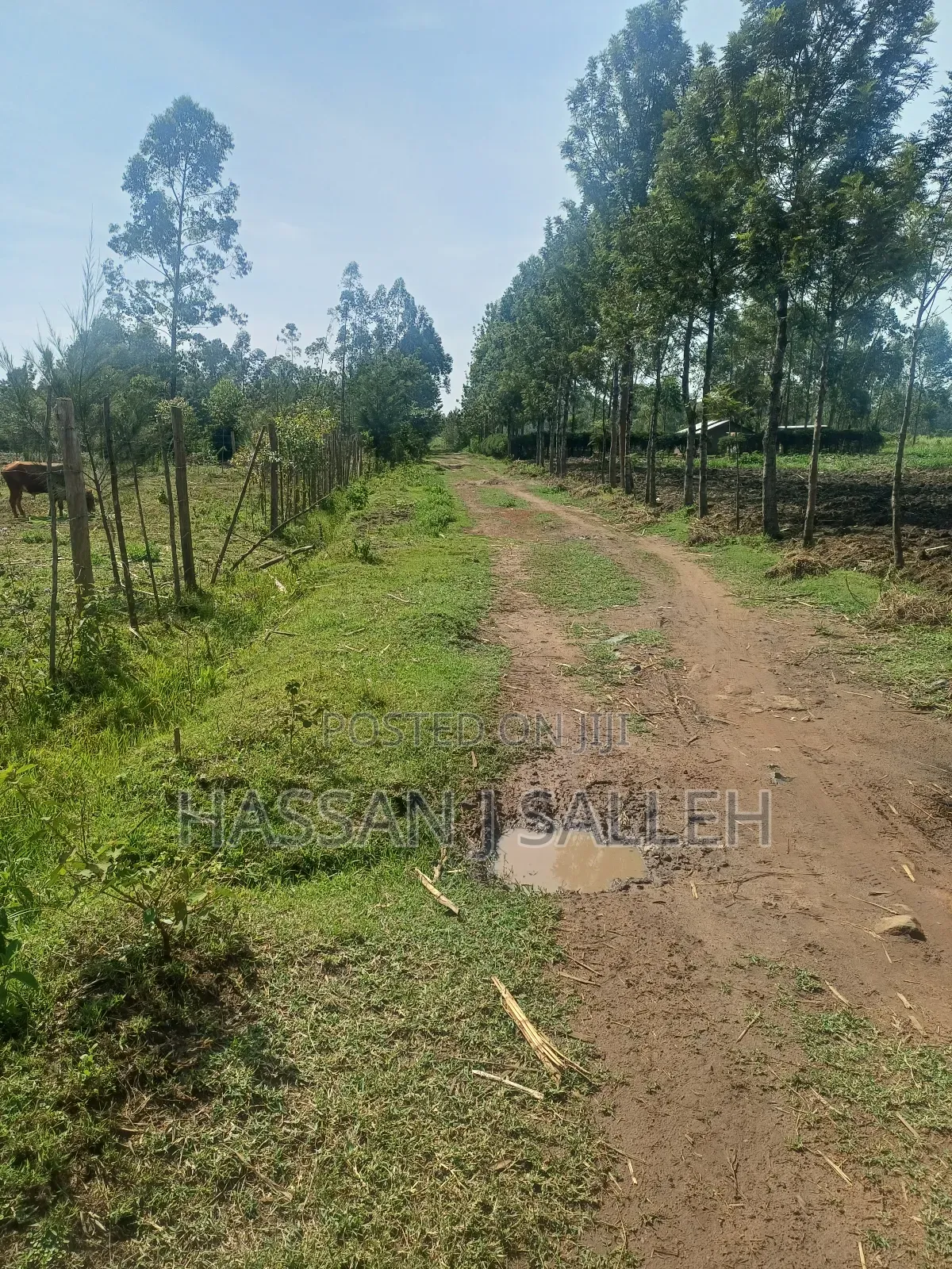 1 Acre Lureko Mumias.