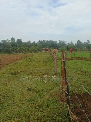 2 Plots 4 Sale Mumias Town.