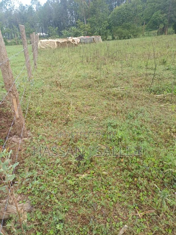 2 Plots 4 Sale Mumias Town. - thumbnail 3