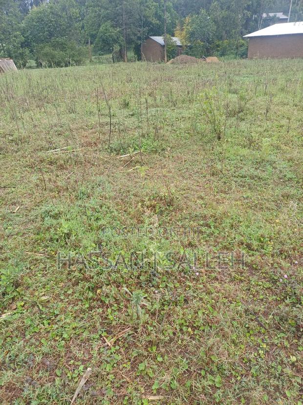 2 Plots 4 Sale Mumias Town. - thumbnail 4