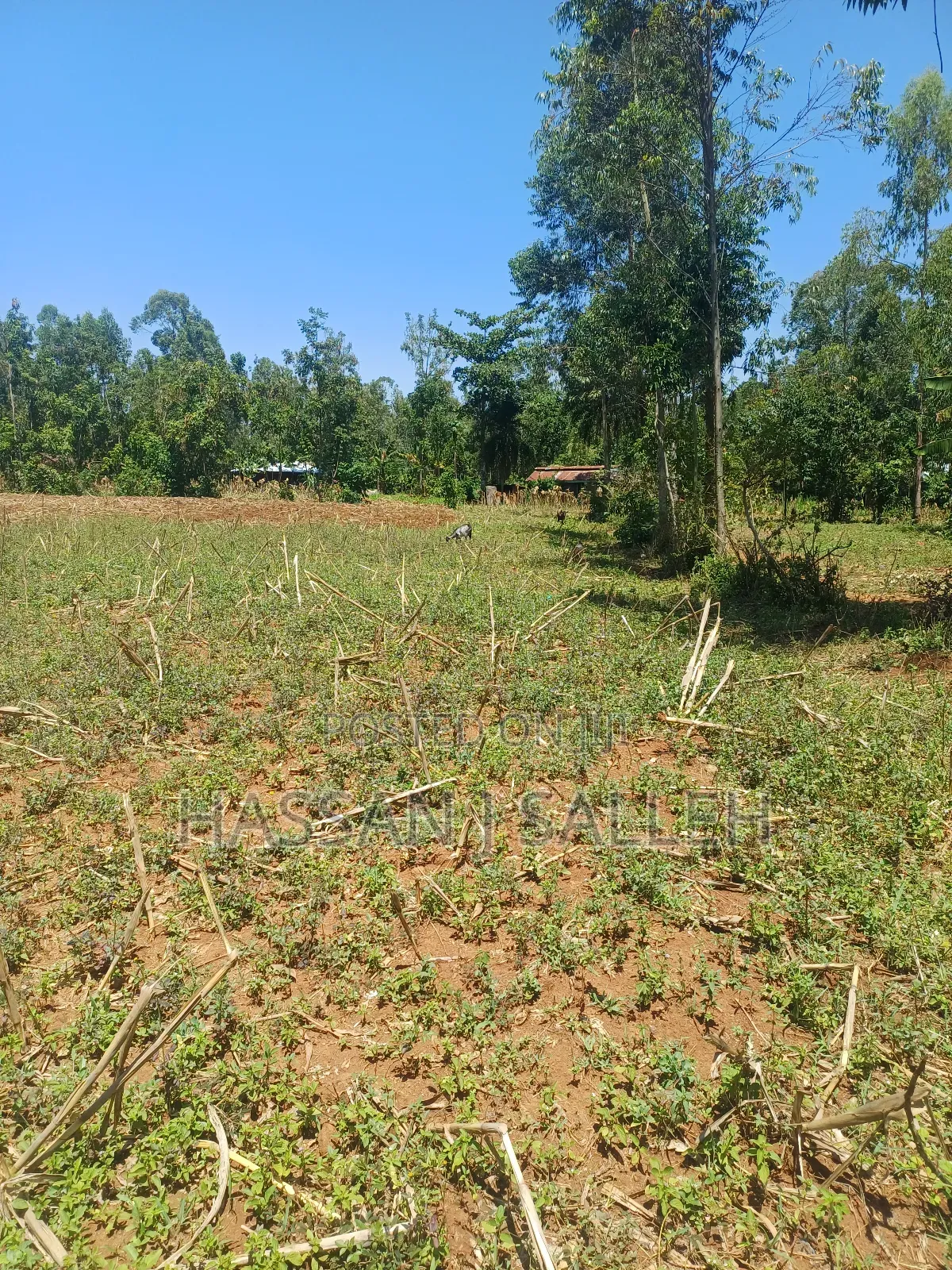 1acre Ekero on Sale.