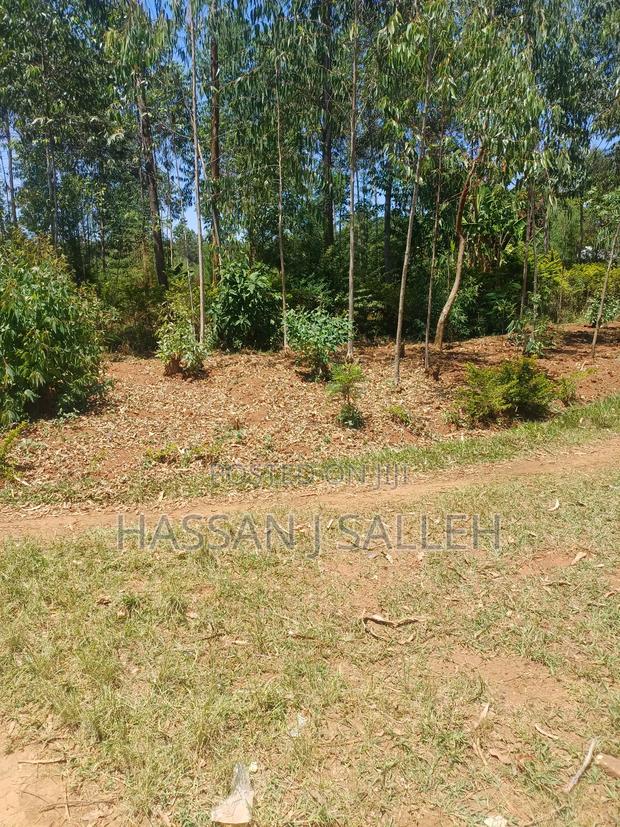 1acre Ekero on Sale. - thumbnail 3