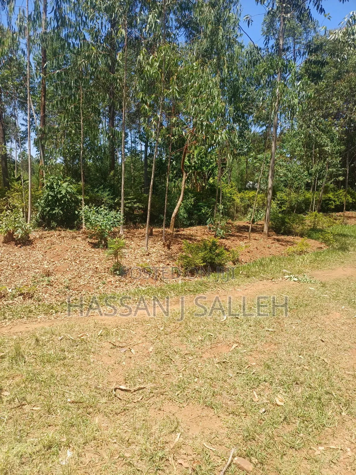 1acre Ekero on Sale.