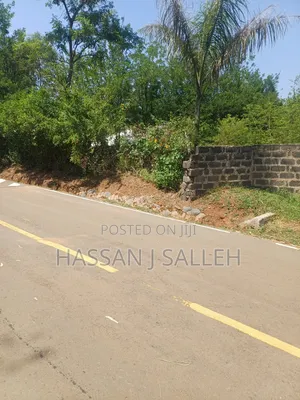 2 Plots 4 Sale in Mumias.