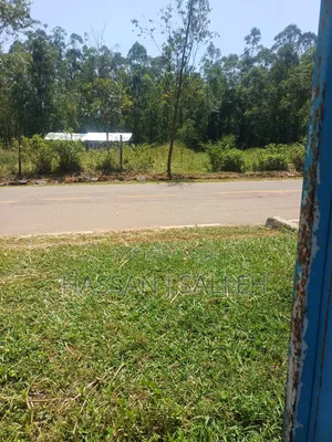 2 Plots 4 Sale in Mumias.
