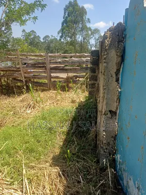 2 Plots 4 Sale in Mumias.