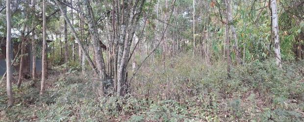 Forest Road Aprox 1km Off Ngong' Road - thumbnail 3