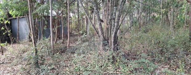 Forest Road Aprox 1km Off Ngong' Road - thumbnail 6