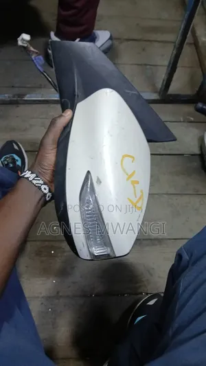 Nissan Sylphy Sidemirror