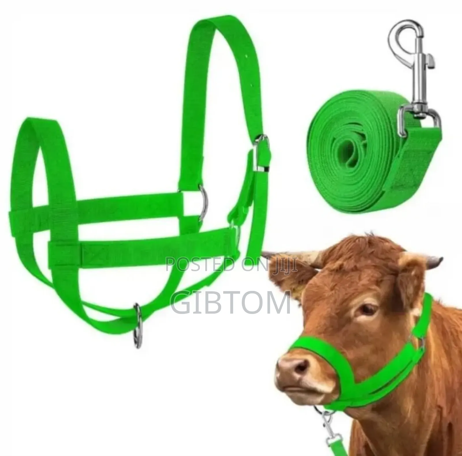 Cattle Halters