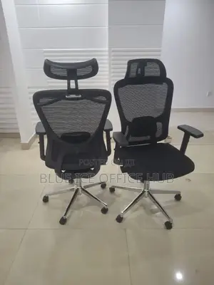 Imported Executive Office Chair
