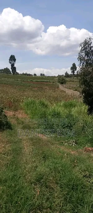 Land for Selling Nandi