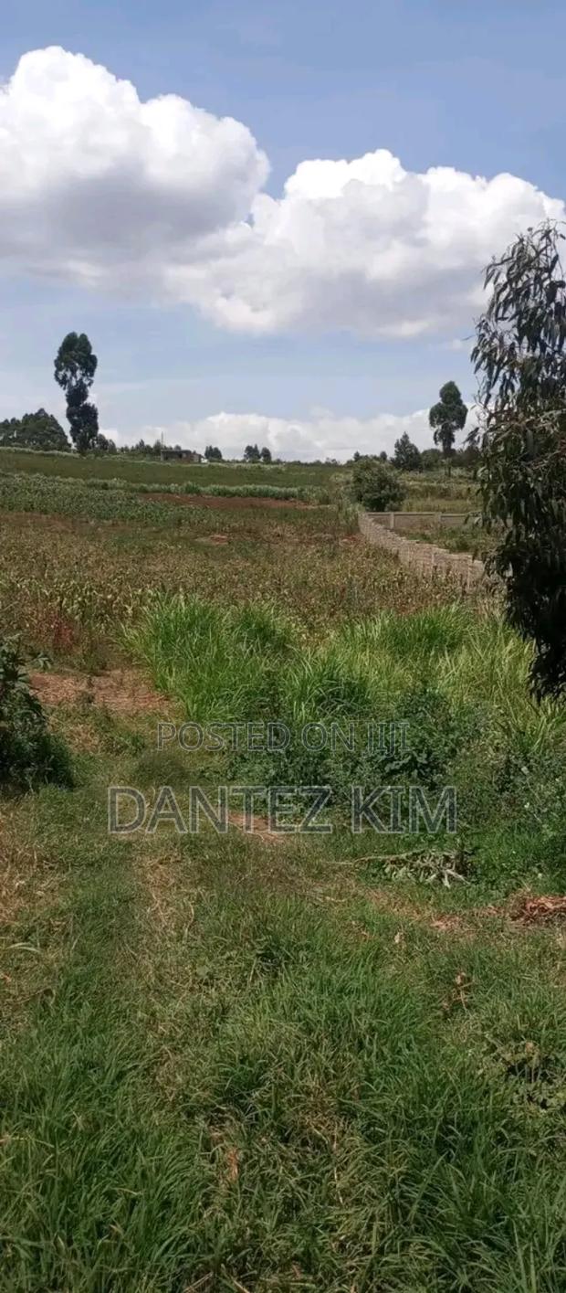Land for Selling Nandi - main view