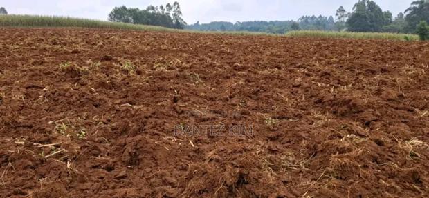 Land for Selling Nandi - thumbnail 2