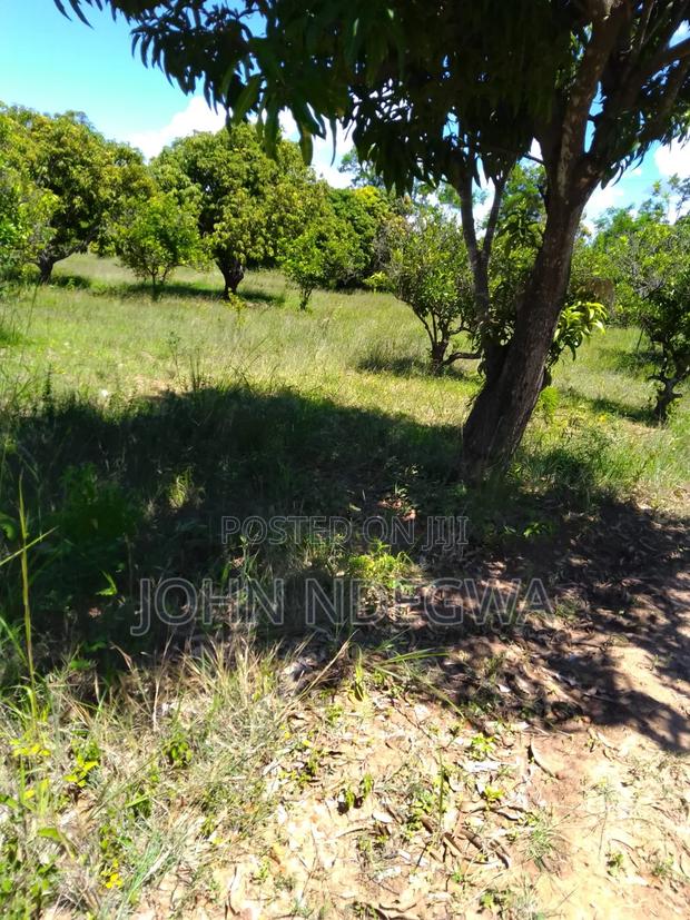 Mananja One Acre Prime Land - thumbnail 4