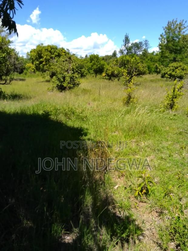 Mananja One Acre Prime Land - thumbnail 5