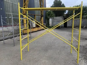 Professional Builders Scaffold Ladder