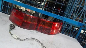 Nissan Lafesta Backlight