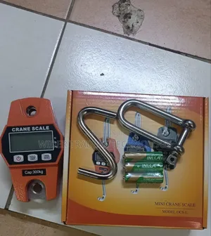 300kg Digital Mini Crane Scale (Model: Ocs-L)