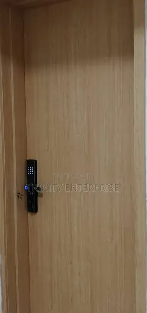 Tuya Smart App Control Wifi Door Locks
