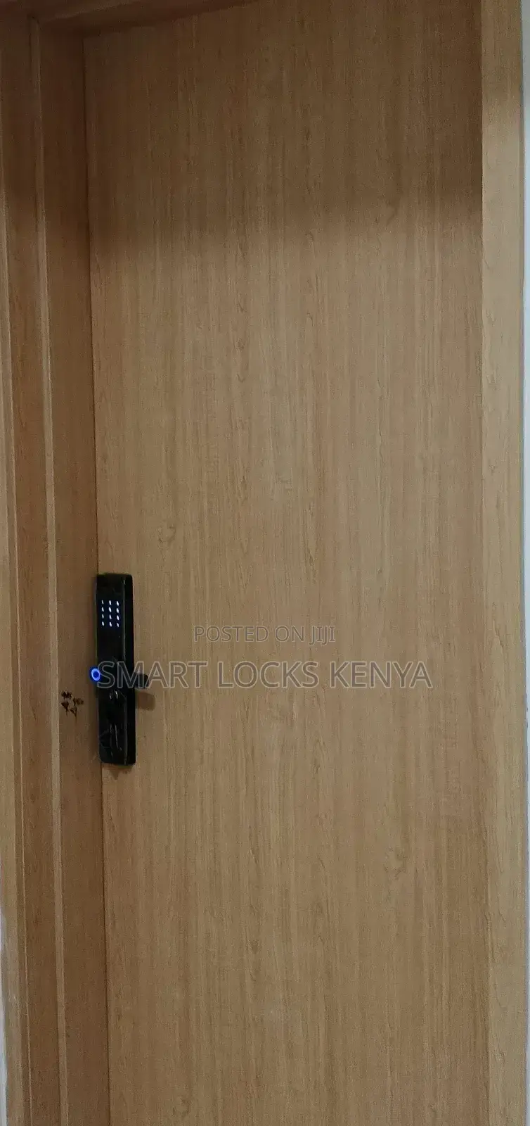 Tuya Smart App Control Wifi Door Locks