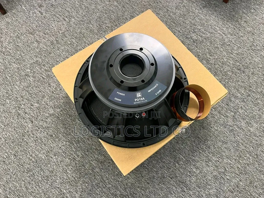Bm Pd1881 Professional Speaker With 5inch Voice Coil and 300 Mm Magnet