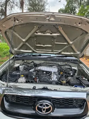 Toyota Hilux 2010 Gray