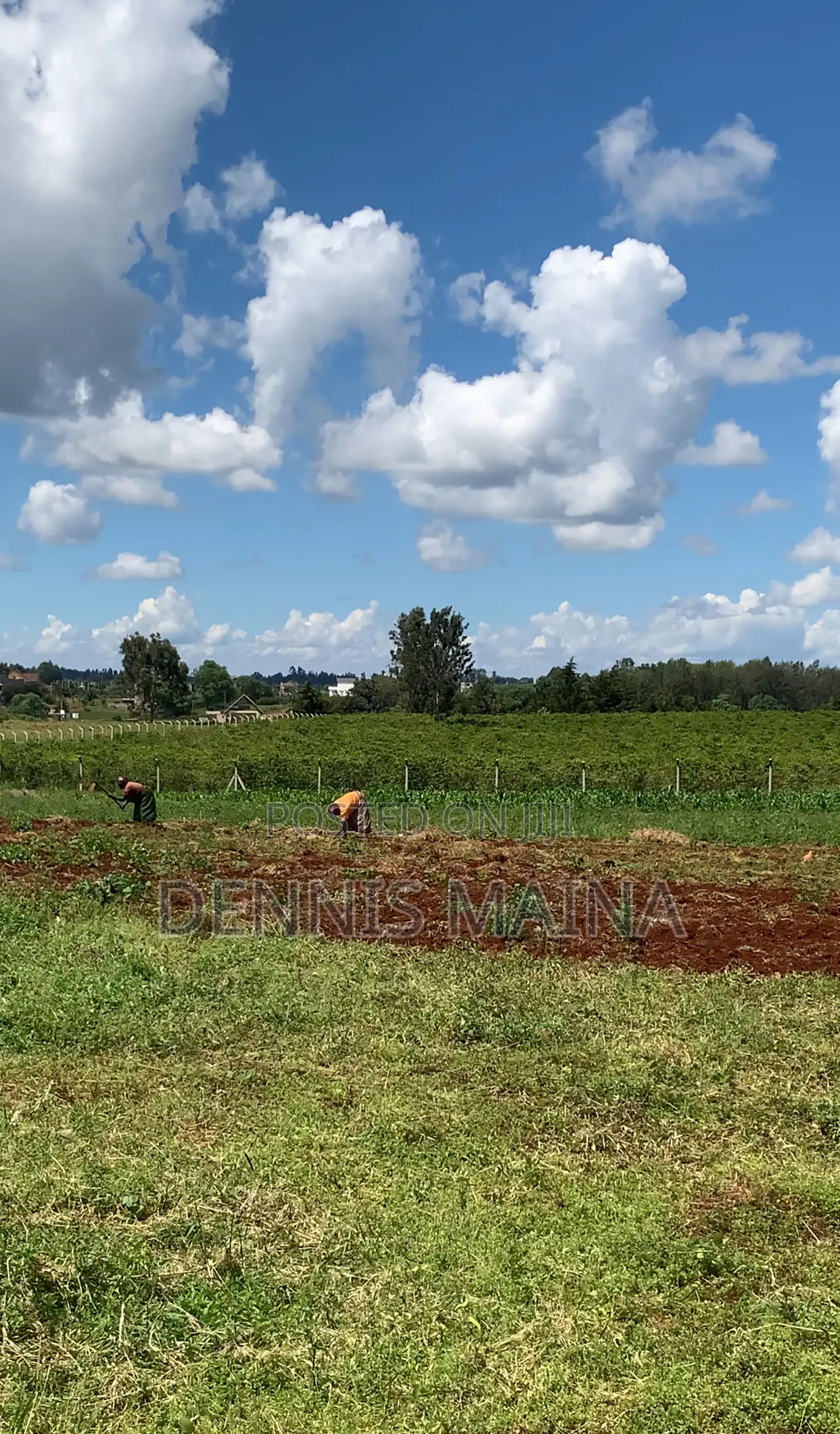 Plot on Sale at Gatanga 8km From Blue Post Thika .