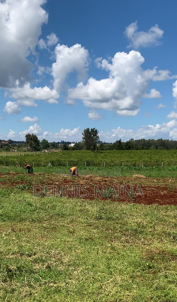 Plot on Sale at Gatanga 8km From Blue Post Thika . - thumbnail 7