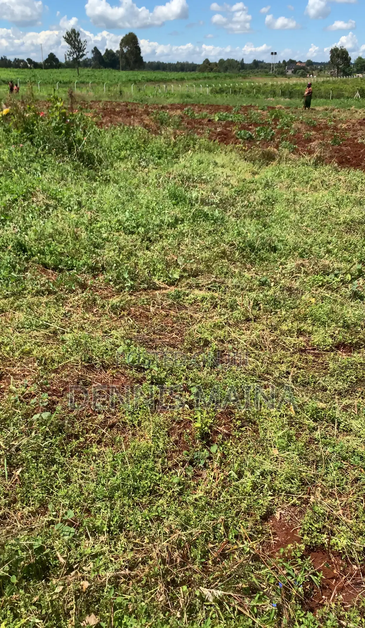 Plot on Sale at Gatanga 8km From Blue Post Thika .