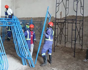 Safety Access Scaffolding Ladders