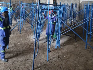 Professional Scaffolding Ladders