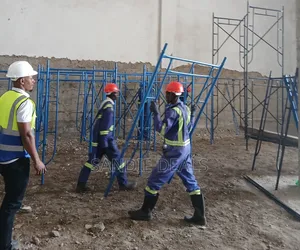 Professional Scaffolding Ladders