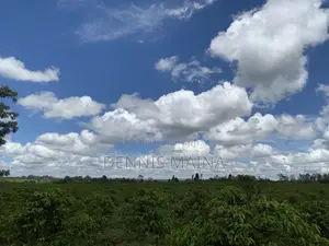 8acres on Sale 100% Coffee Plantation 8kms From Blue Post Thika