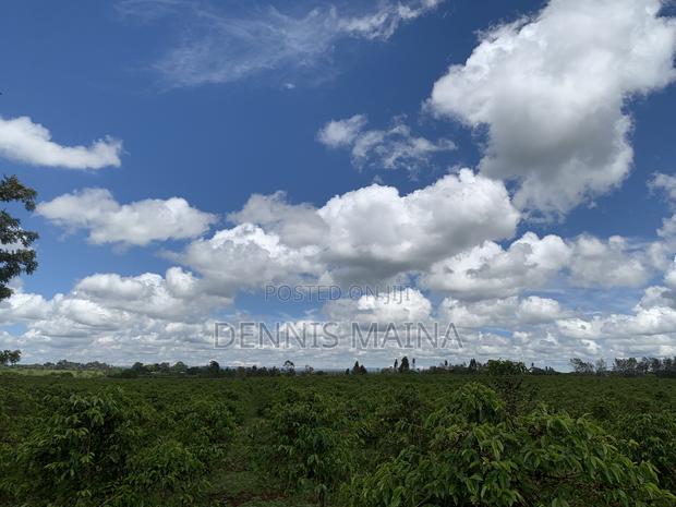 8acres on Sale 100% Coffee Plantation 8kms From Blue Post Thika