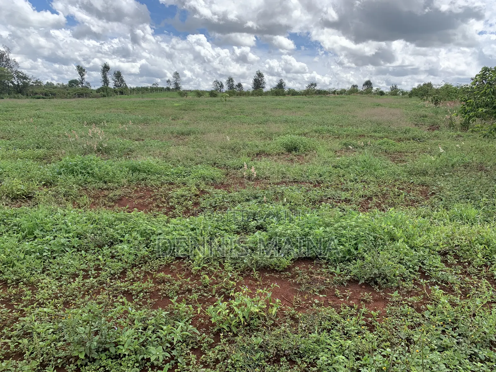 8acres on Sale 100% Coffee Plantation 8kms From Blue Post Thika