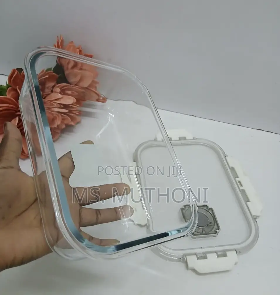 Large Capacity Borosilicate Glass Lunch Box / Food Storage Container
