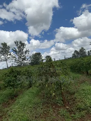 8acres on Sale 100% Coffee Plantation 8kms From Blue Post Thika