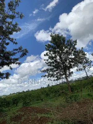 8acres on Sale 100% Coffee Plantation 8kms From Blue Post Thika