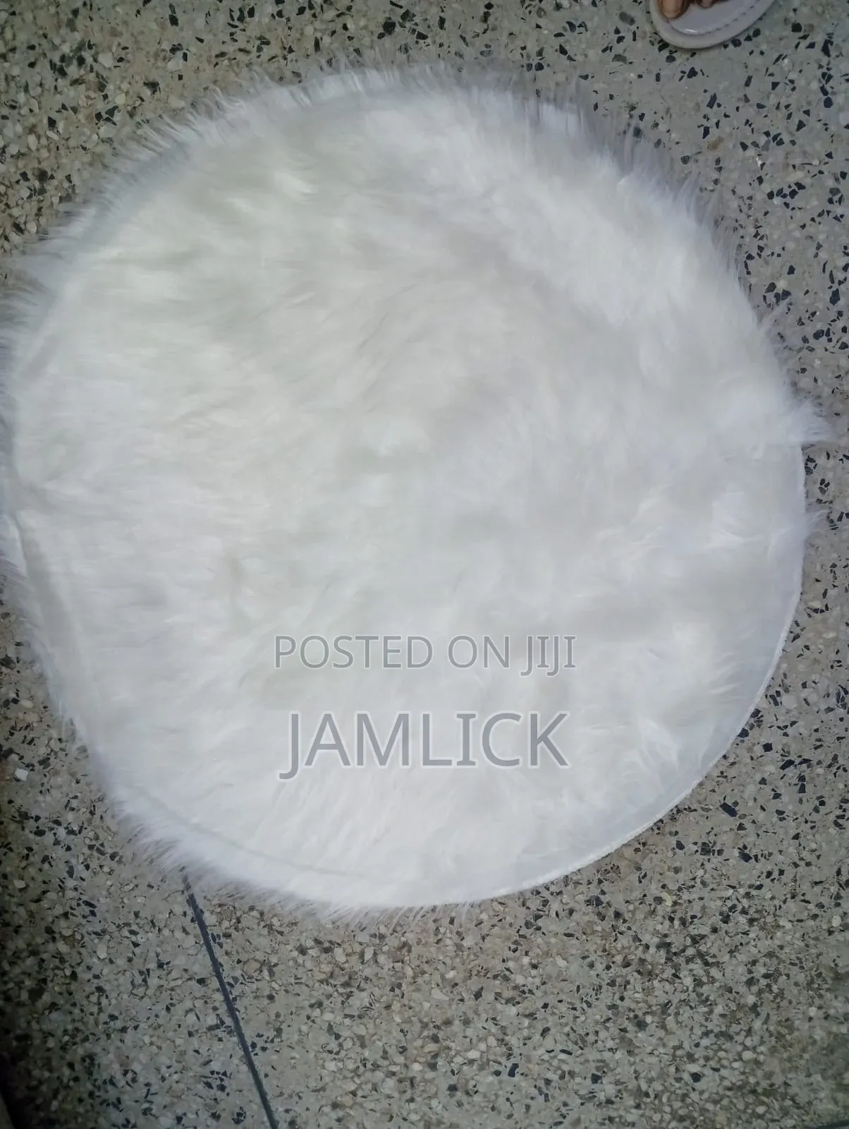 Round Chihuahua Mat –Cd