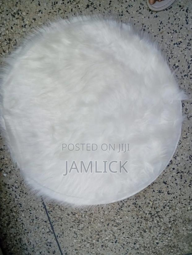 Round Chihuahua Mat –Cd - main view