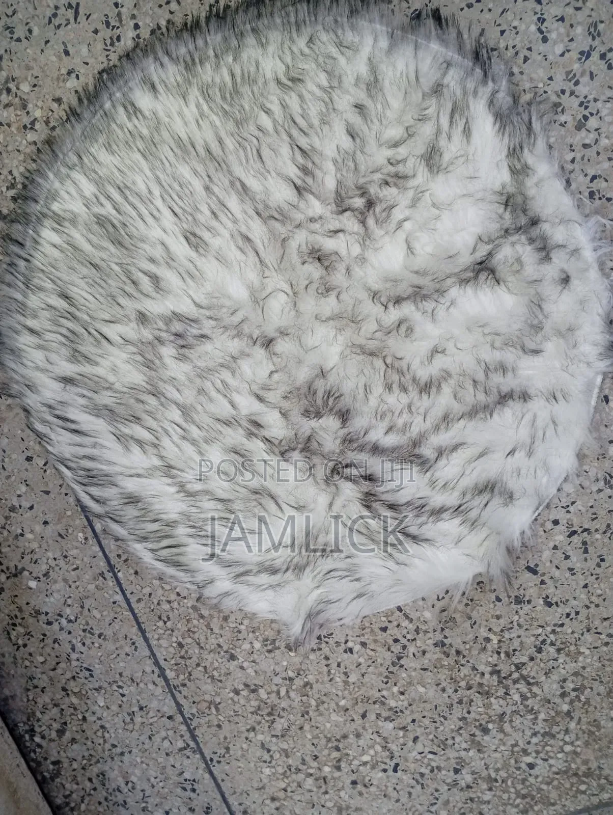 Round Chihuahua Mat –Cd
