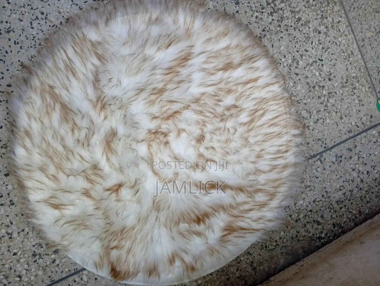 Round Chihuahua Mat –Cd