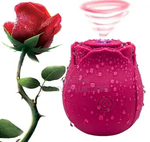 Rose Sex Toys With Charger