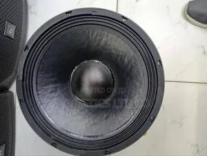 Derwel 12 Inch 600w Naked Speaker 12dl201