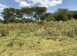 Prime 140-Acre Agricultural Estate in Naivasha – Malewa River Frontage