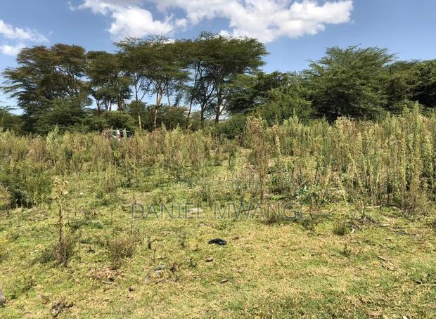 Prime 140-Acre Agricultural Estate in Naivasha – Malewa River Frontage