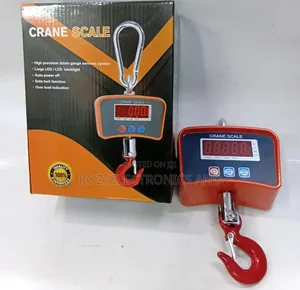 500kg Crane Scale