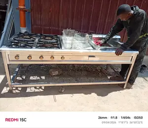 Combined Cooker With Deep Fryer