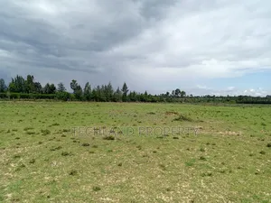 4acres Wamura Laikipia.